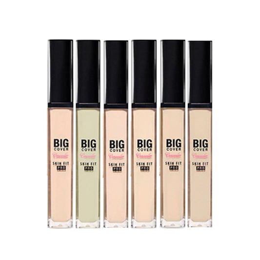 etude house big cover corrector skin fit pro 7g